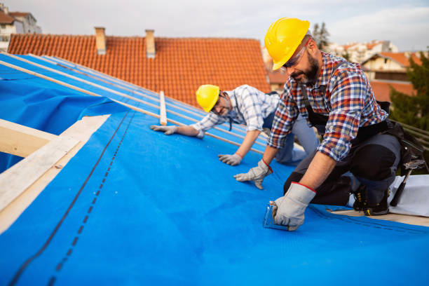 Best Chimney Flashing Repair  in St Paul, MN